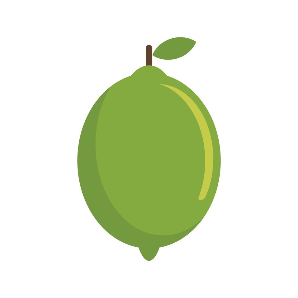 icono de fruta de lima vector aislado plano