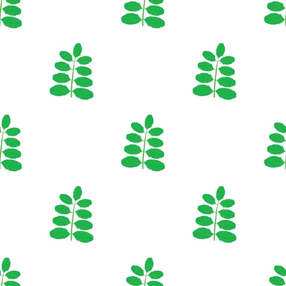 Acacia leaf pattern seamless vector