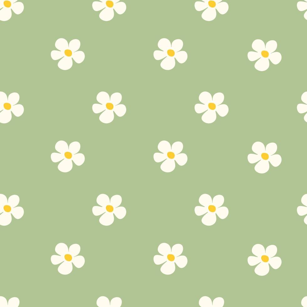 Chamomile floral seamless pattern on green background vector