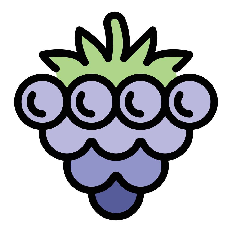 Sweet blackberry icon color outline vector