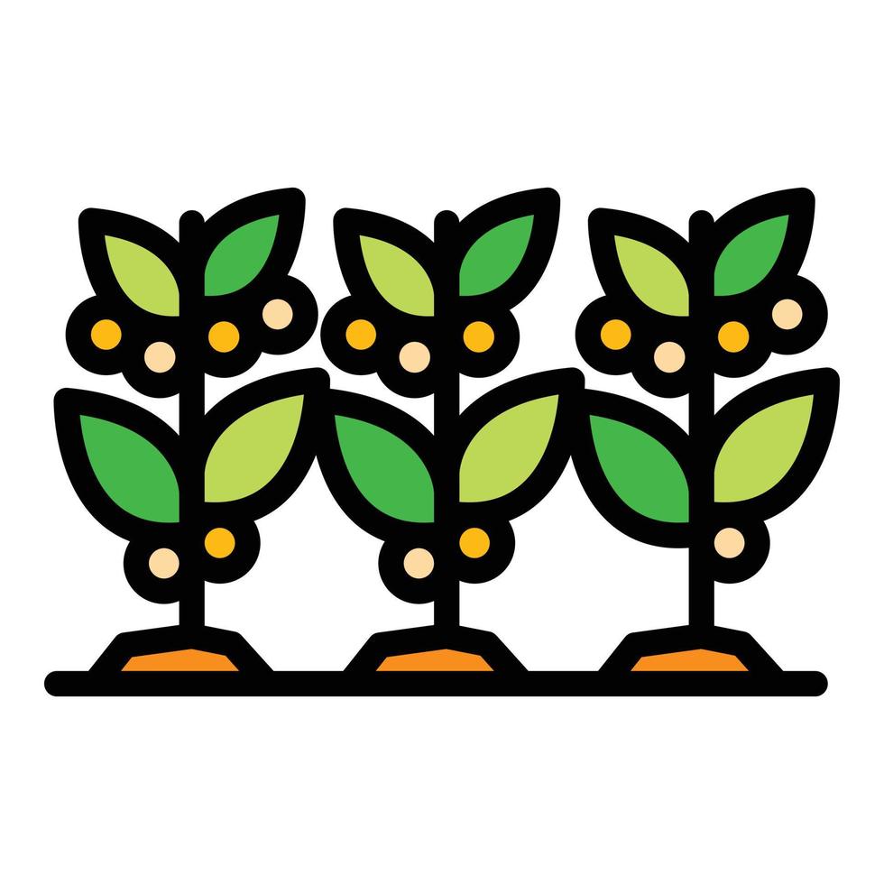 vector de contorno de color de icono de plantas de café