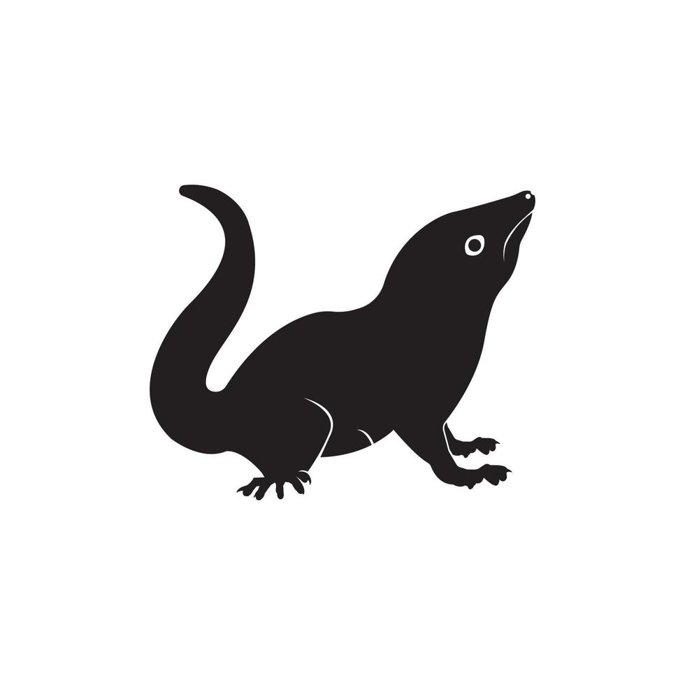 squirrel icon vector