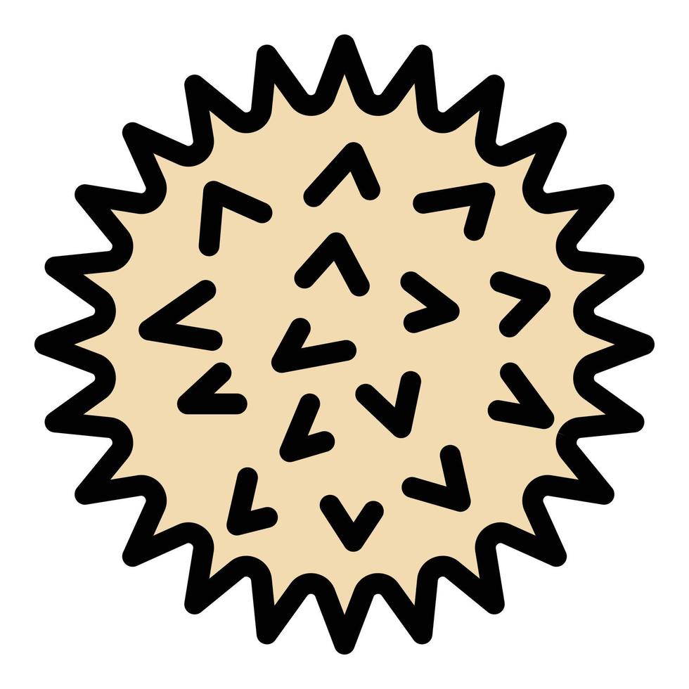 Raw chetnut icon color outline vector