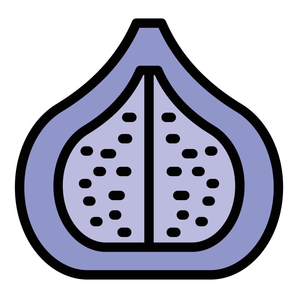 vector de contorno de color de icono de fruta de semilla de higo