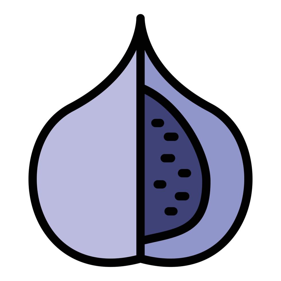 Summer fig icon color outline vector