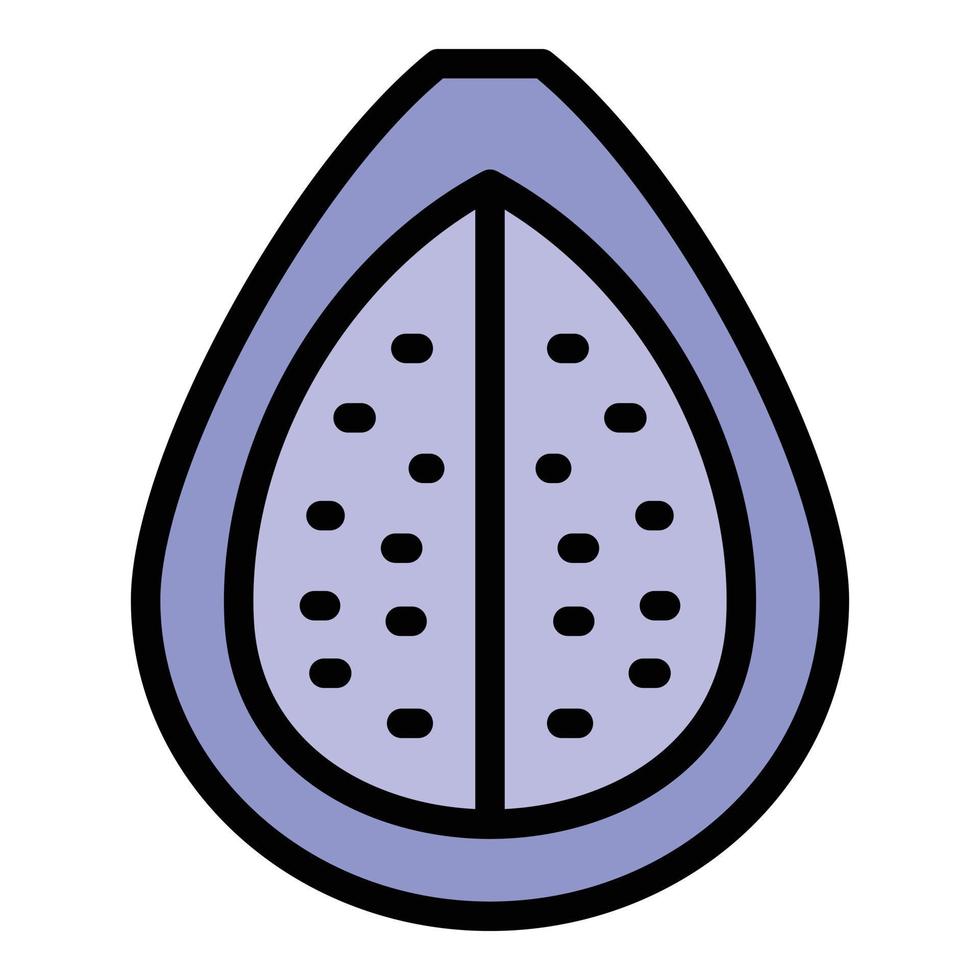 Tropical fig icon color outline vector