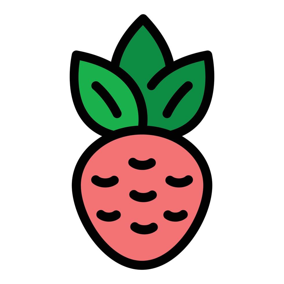 Beetroot icon color outline vector