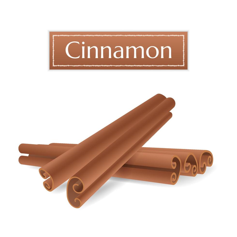 Set of realistic Cinnamon Sticks pile. Aromatherapy stick for oils. Aromatic, flavorful spice for cooking, baking, health food and medicinal uses. Label for herbs and spices collection. vector