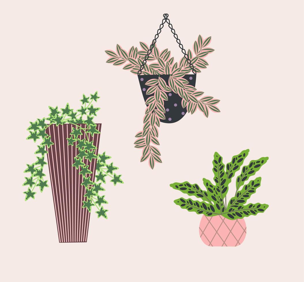 conjunto de plantas de interior verdes vector