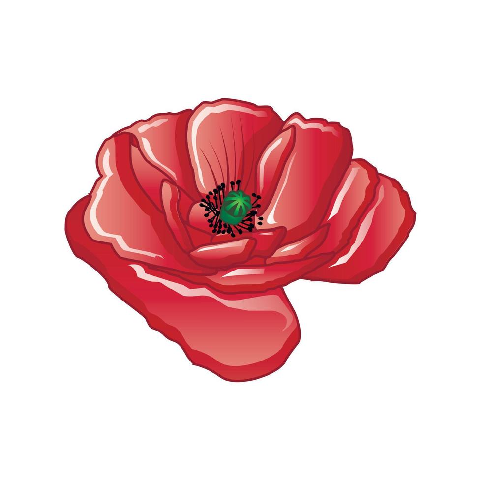 Poppy flower icon, cartoon style vector