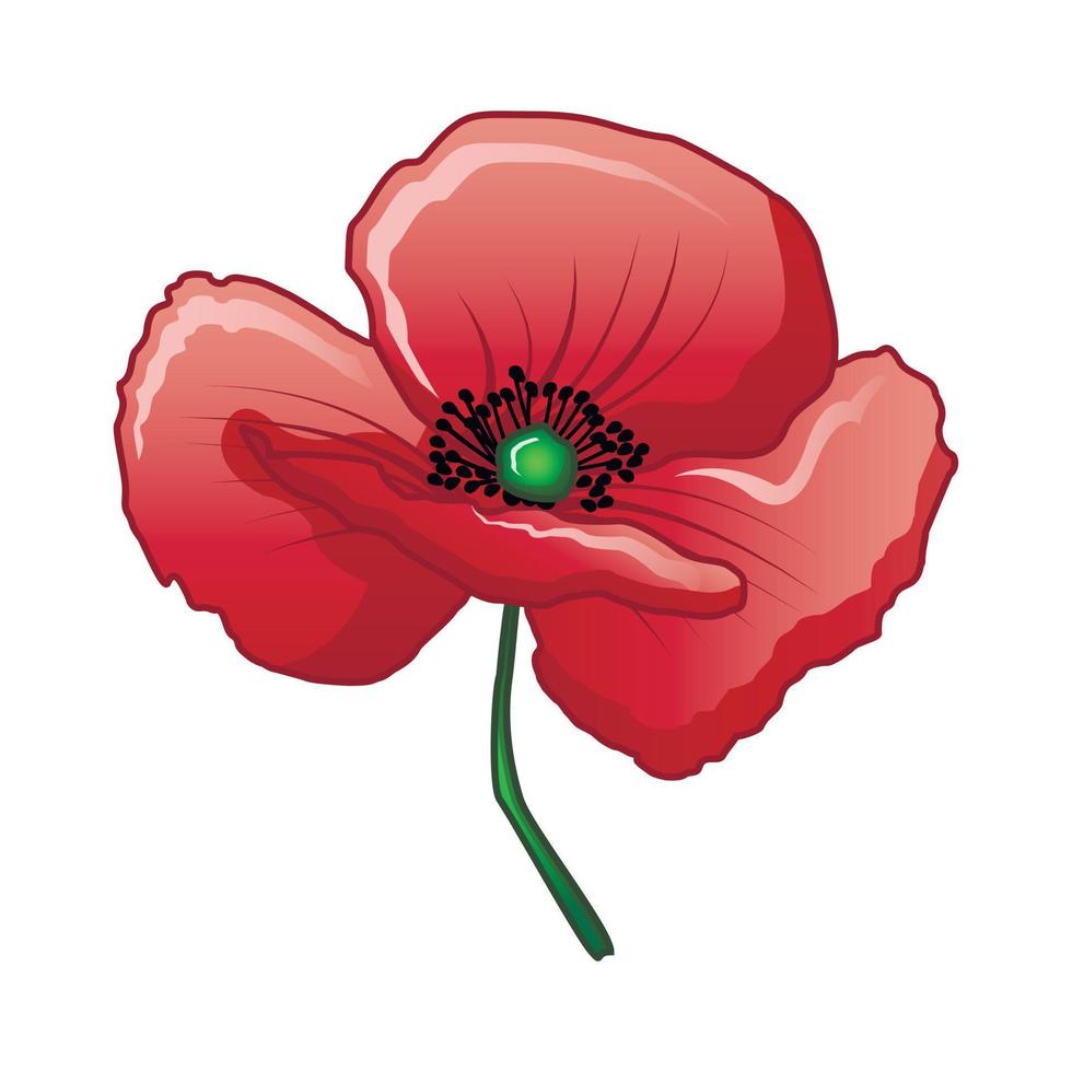 Bud of poppy icon, cartoon style vector