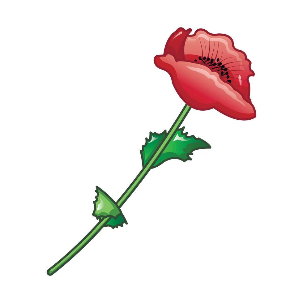 Natural poppy flower icon, cartoon style vector