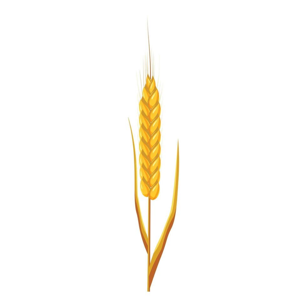 Wheat ear icon, cartoon style vector