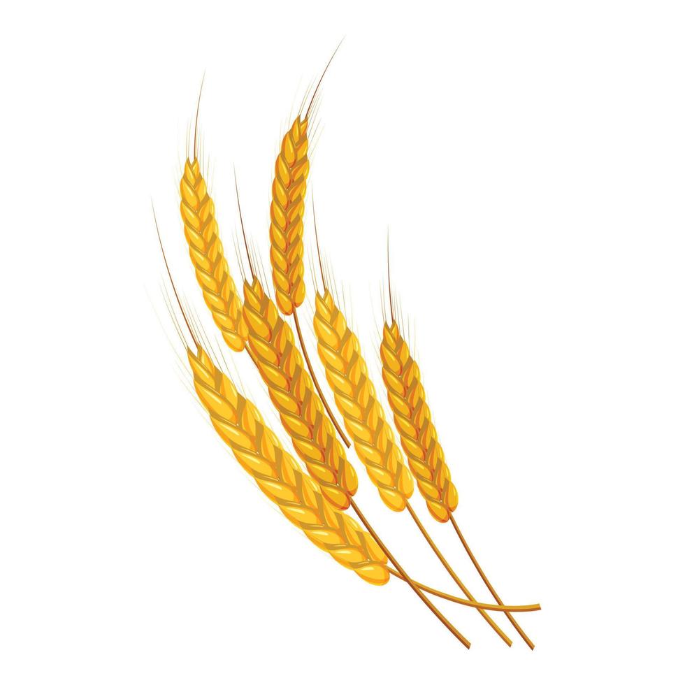icono de orejas de trigo maduro dorado, estilo de dibujos animados vector