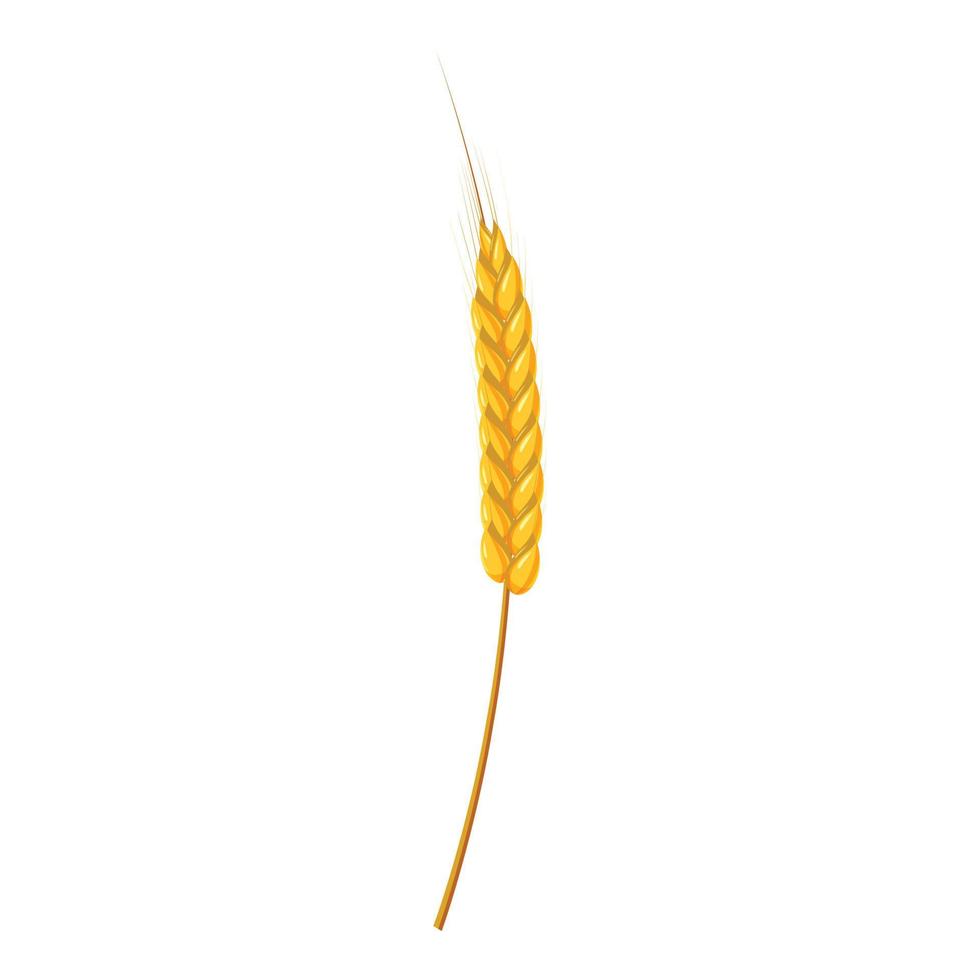 Ear of wheat icon, cartoon style vector