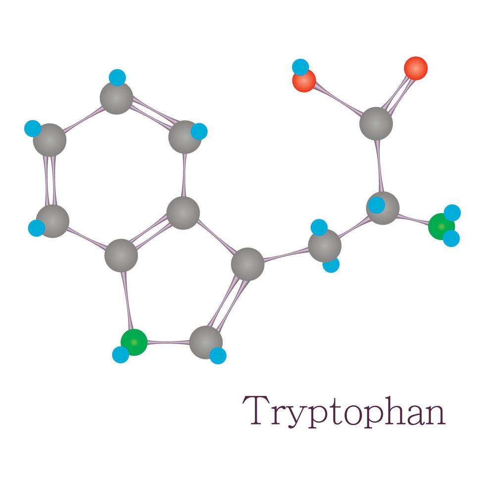 Tryptophan 3D molecule chemical science vector