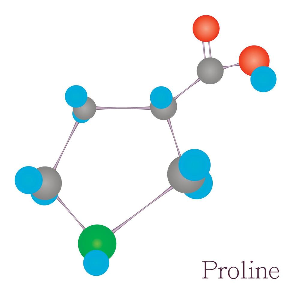 prolina 3d molécula química ciencia vector