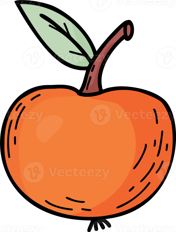 Beautiful apple with leaf png