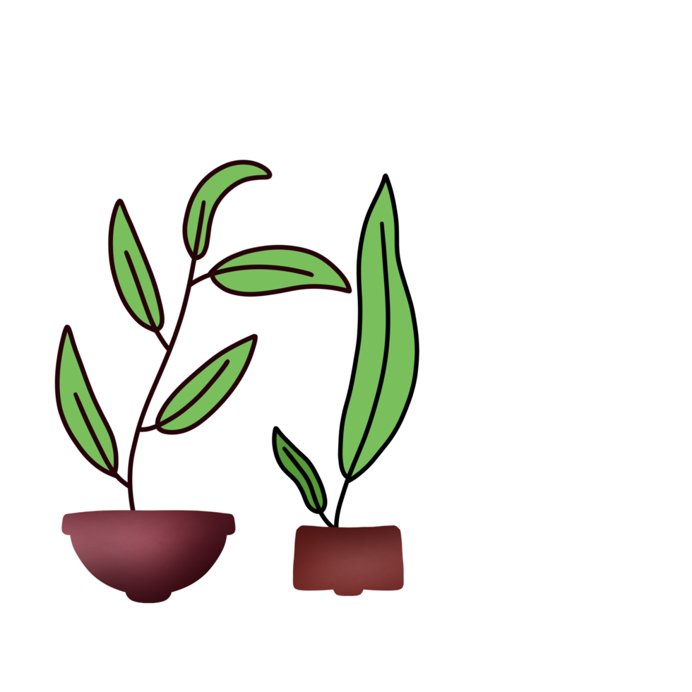 Decorative Aesthetic Leaf png