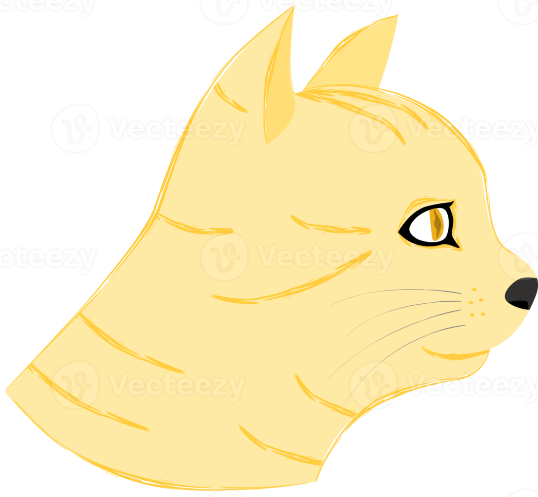 Side view of yellow cat's face. png