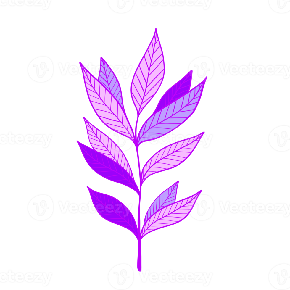 illustration de feuilles violettes. feuilles vives. Naturel. png