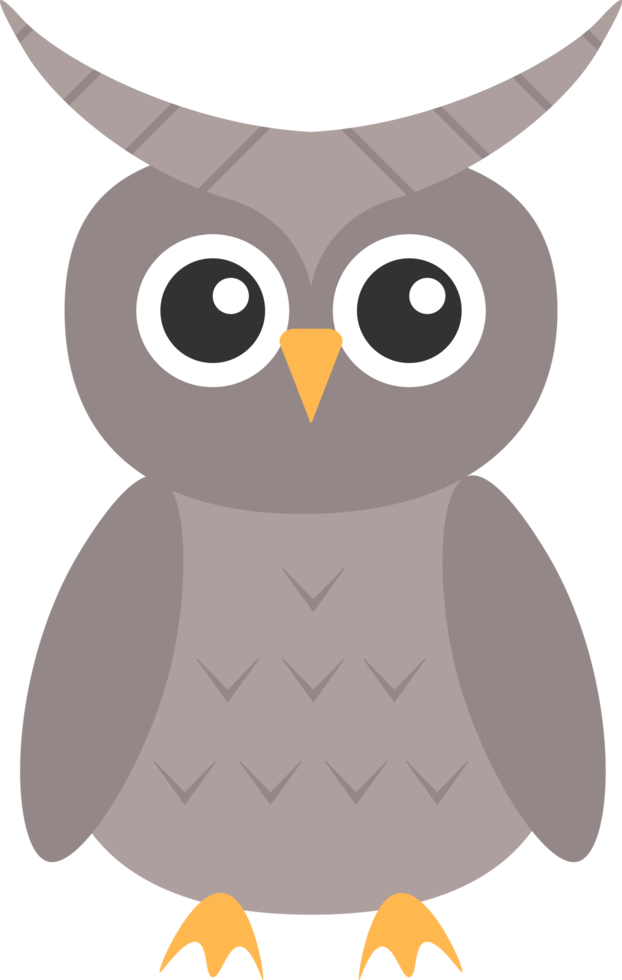 owl design illustration isolated on transparent background png