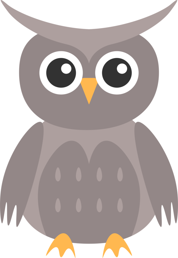 owl design illustration isolated on transparent background png