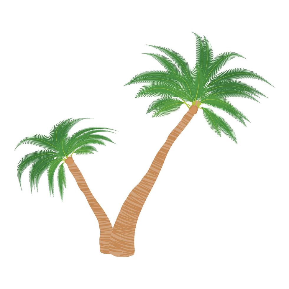 Two palm trees icon, cartoon style vector