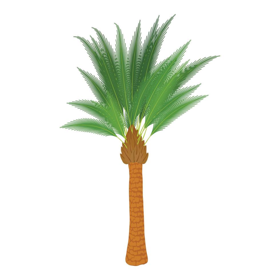 Traditional palm icon, cartoon style vector