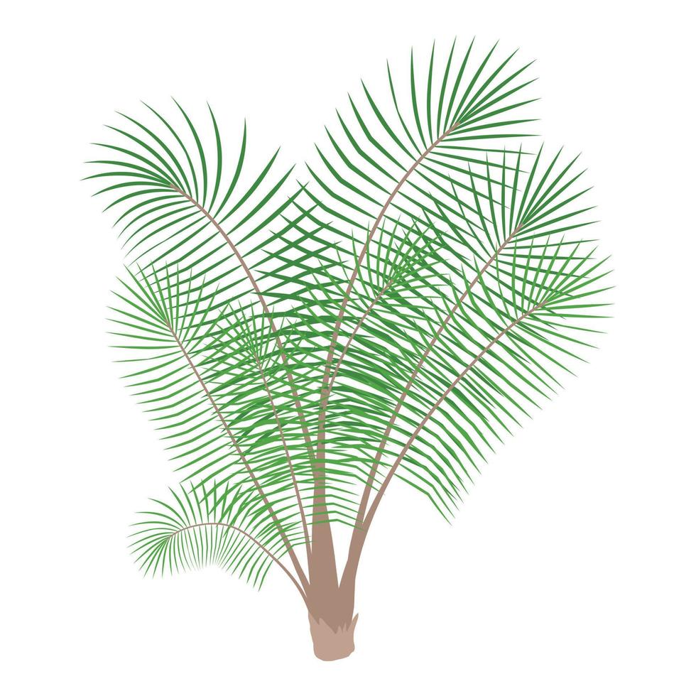 Bamboo palm icon, cartoon style vector