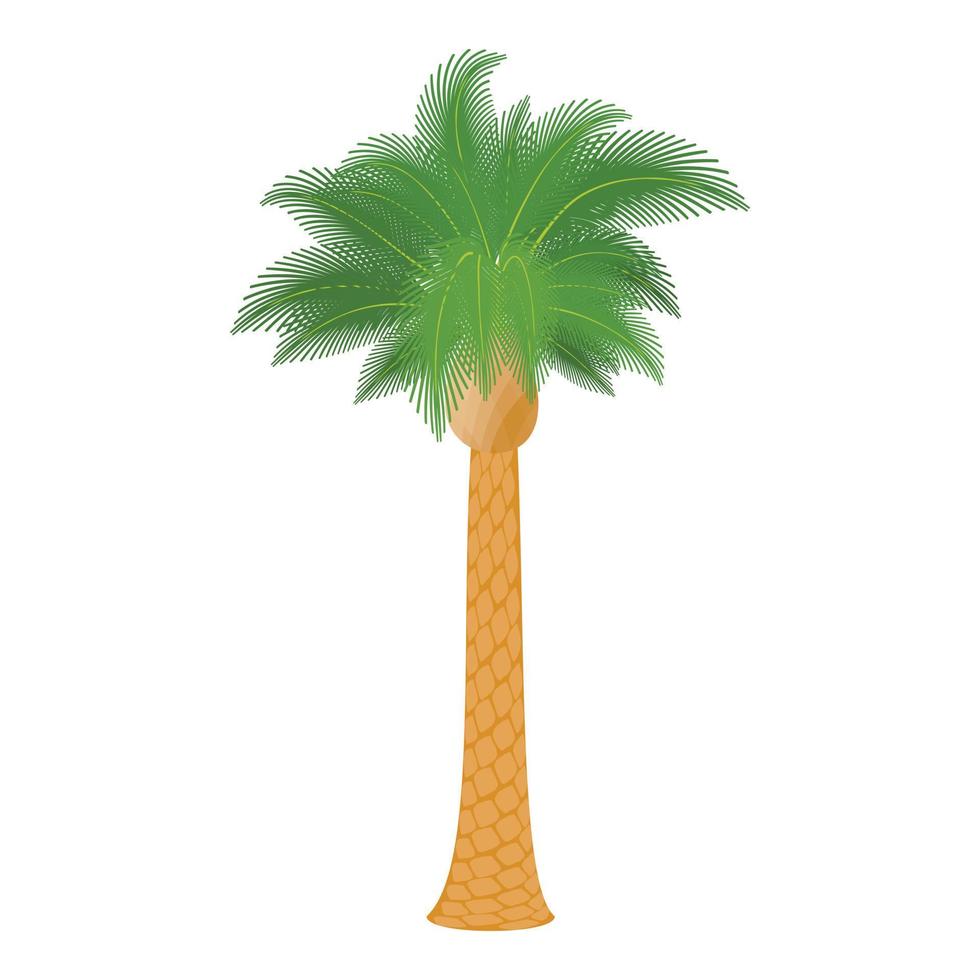 Hardwood palm icon, cartoon style vector