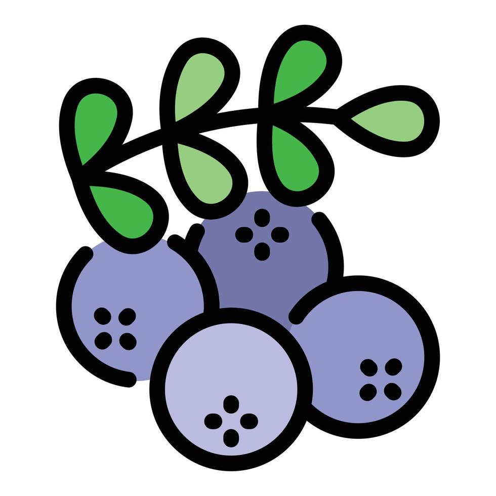 Rowan berry icon color outline vector