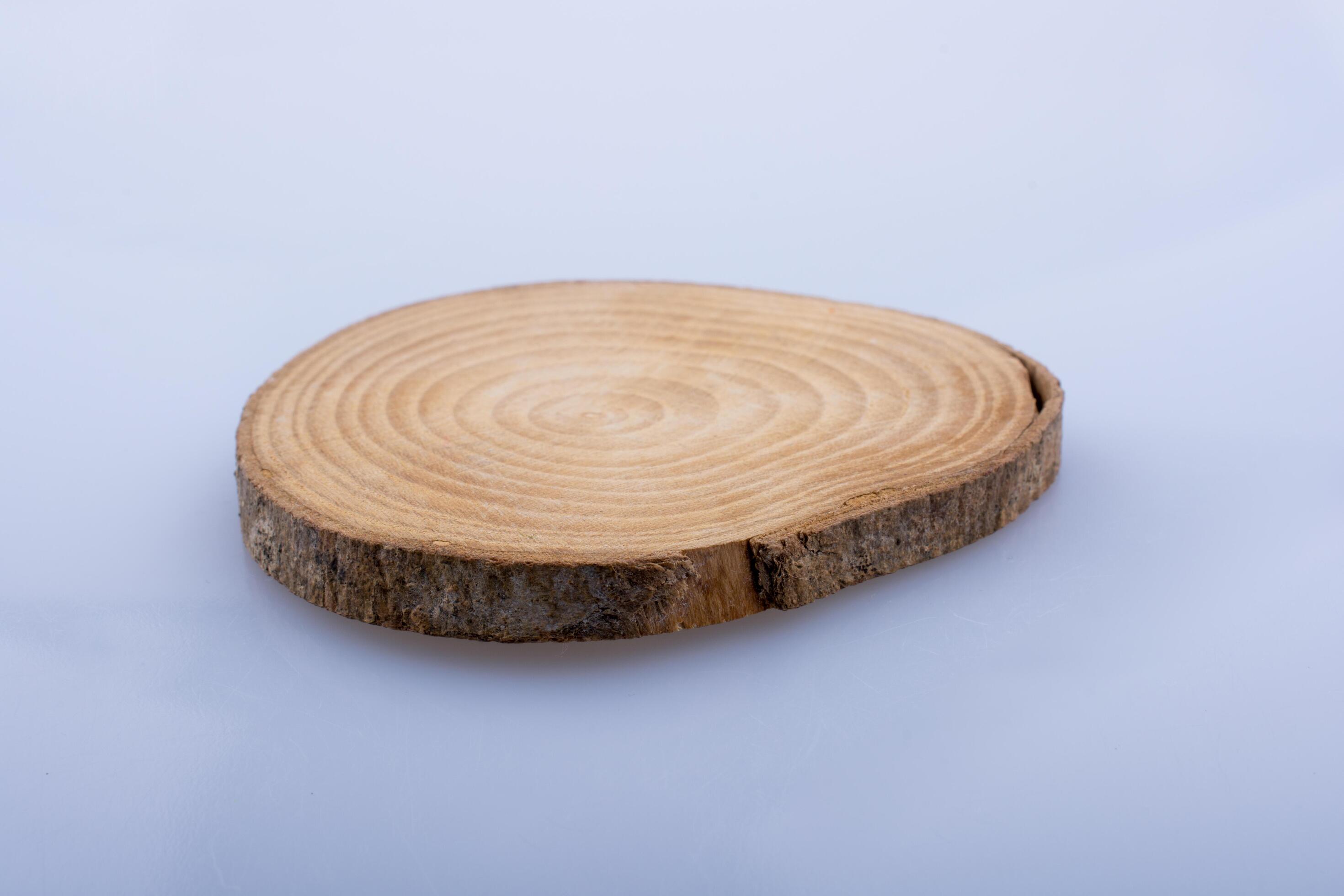 Wooden Circle With A Split Cut Of The Log Stock Photo, Picture and Royalty  Free Image. Image 11874051.