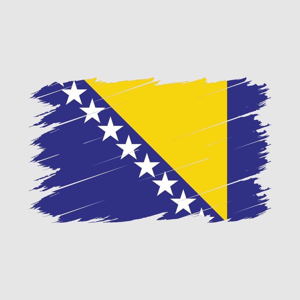 Bosnia Flag Brush vector