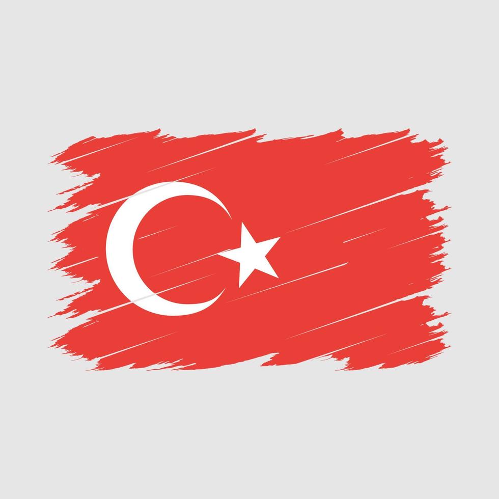 Turkey Flag Brush vector