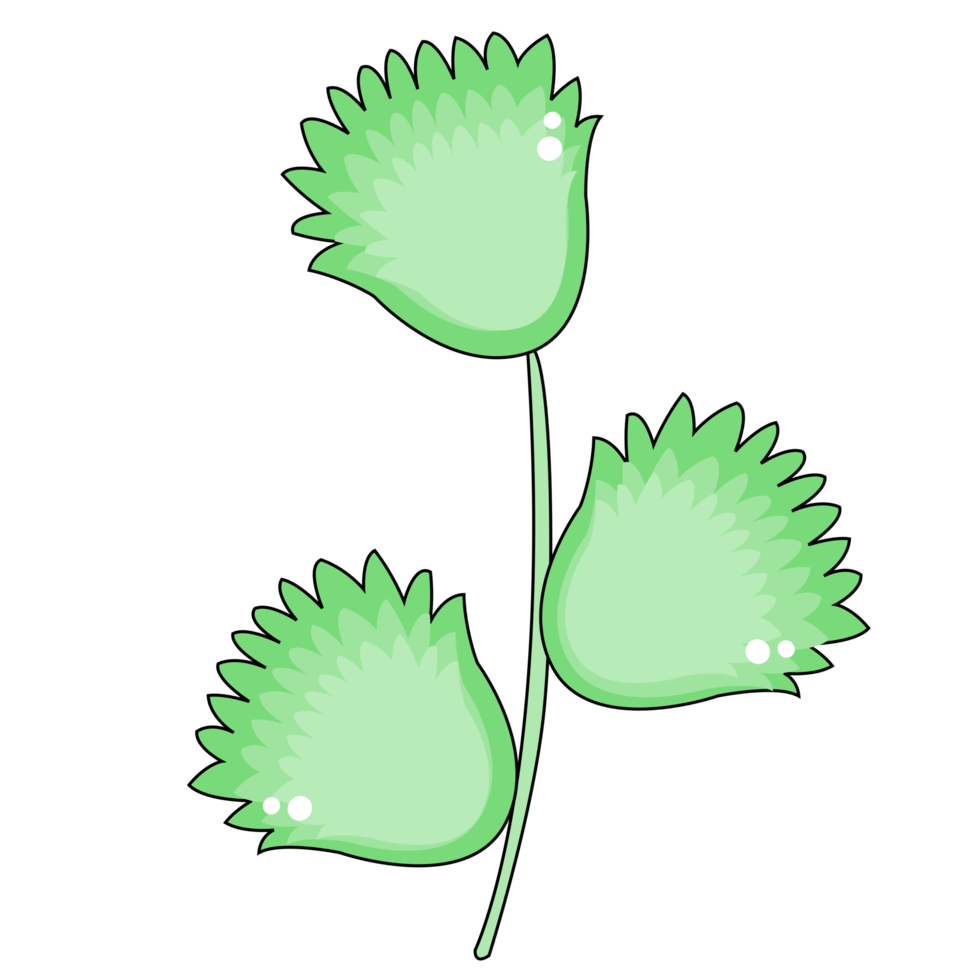 green leaves design png