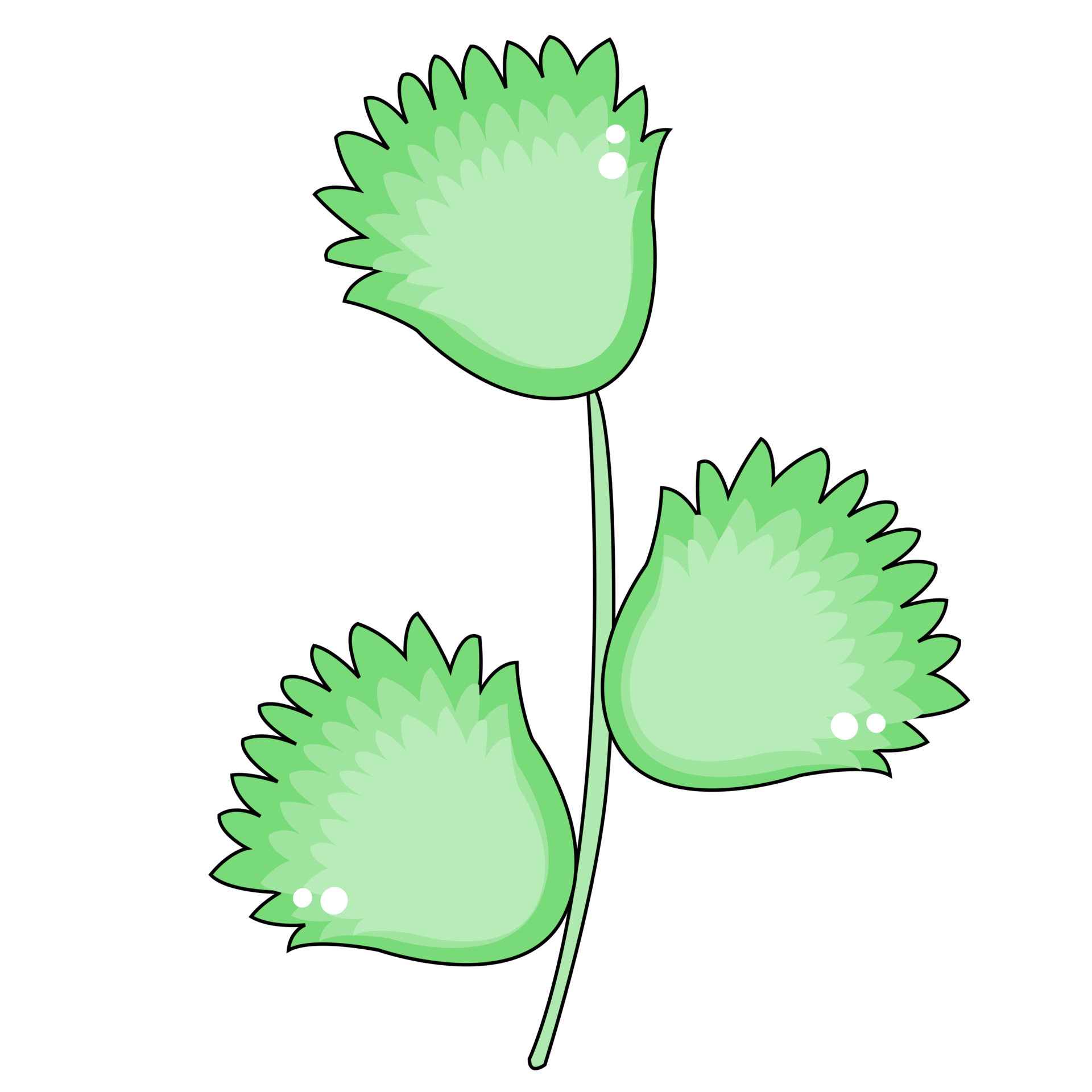 green-leaves-design-15078839-png