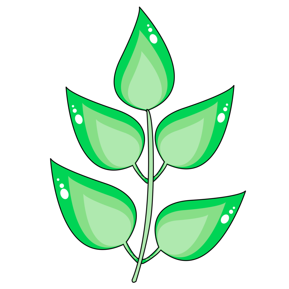 green leaves design png