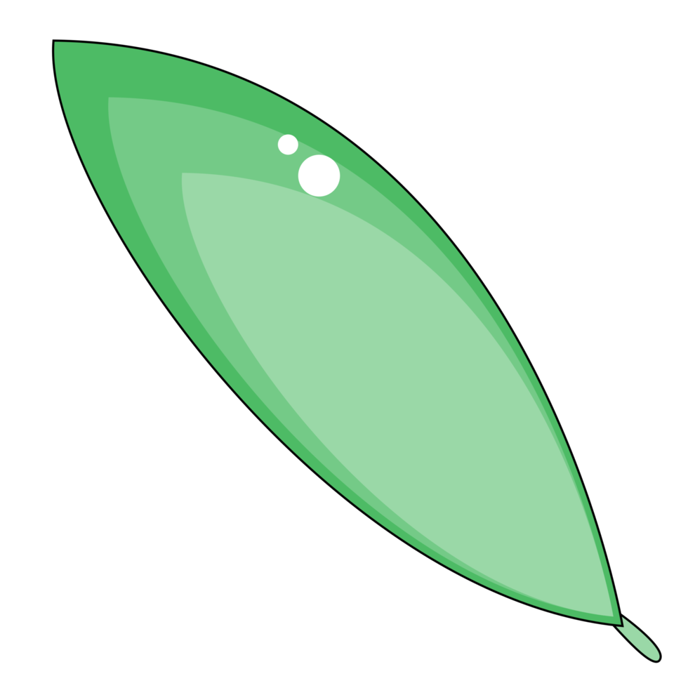 cute leaf design png