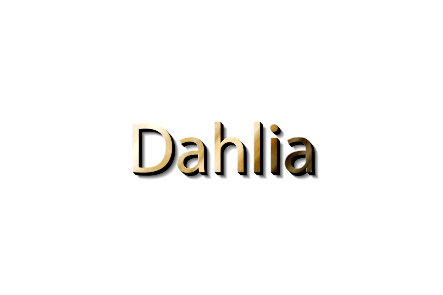 dahlia nom 3d png