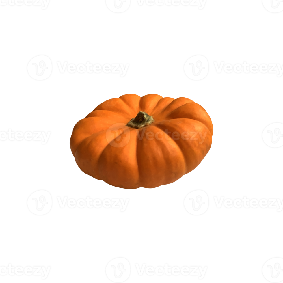 Mini yellow pumpkin vegetable set seasonal image for autumn holiday thanksgiving and halloween design isolated, clipping path png