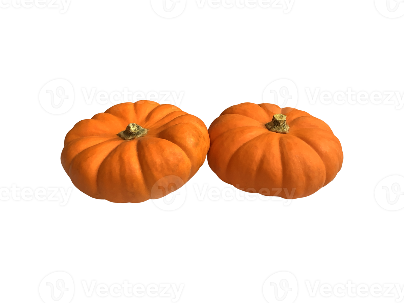 Mini yellow pumpkin vegetable set seasonal image for autumn holiday thanksgiving and halloween design isolated, clipping path png