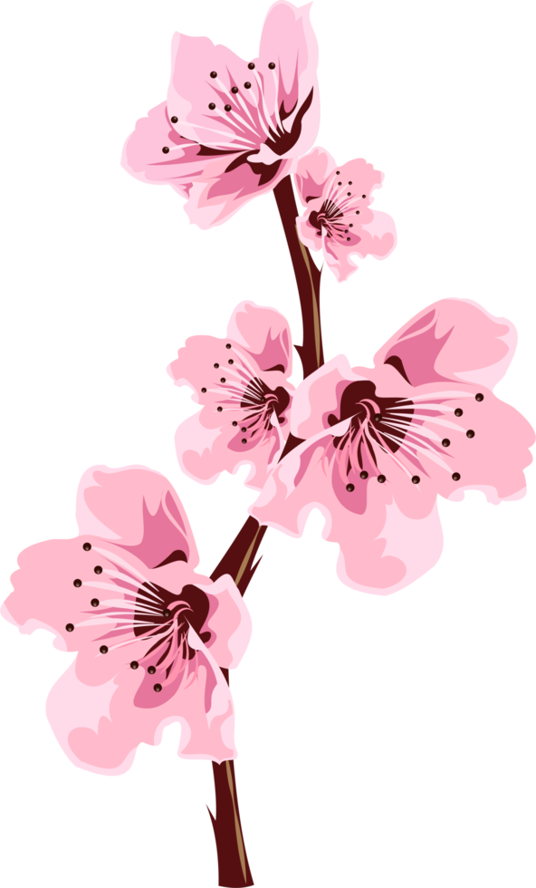 gren med knippa av rosa blommor png