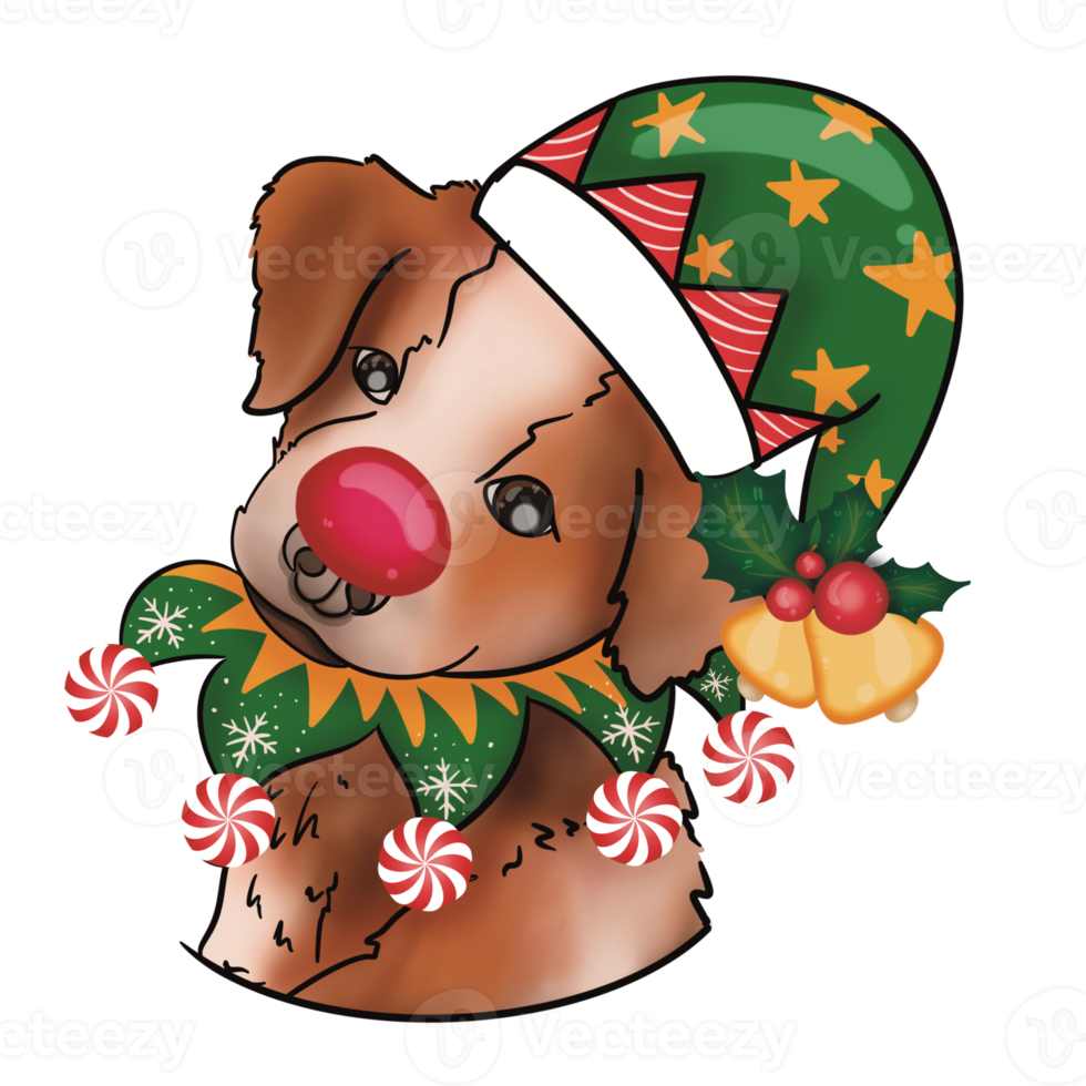 Cute puppy on Christmas time png