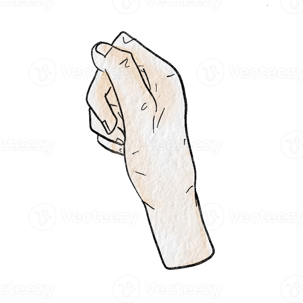 Watercolor various hand gestures png