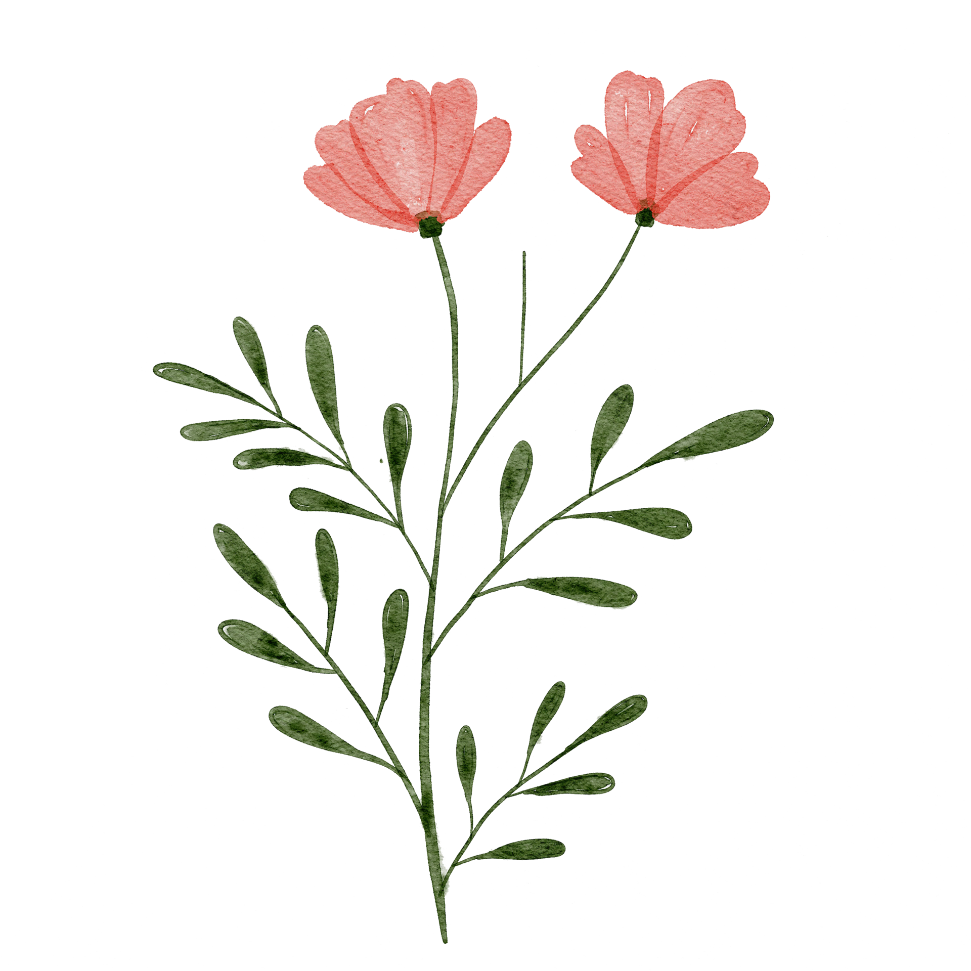 Watercolor Flowers Clip Art 15082991 PNG