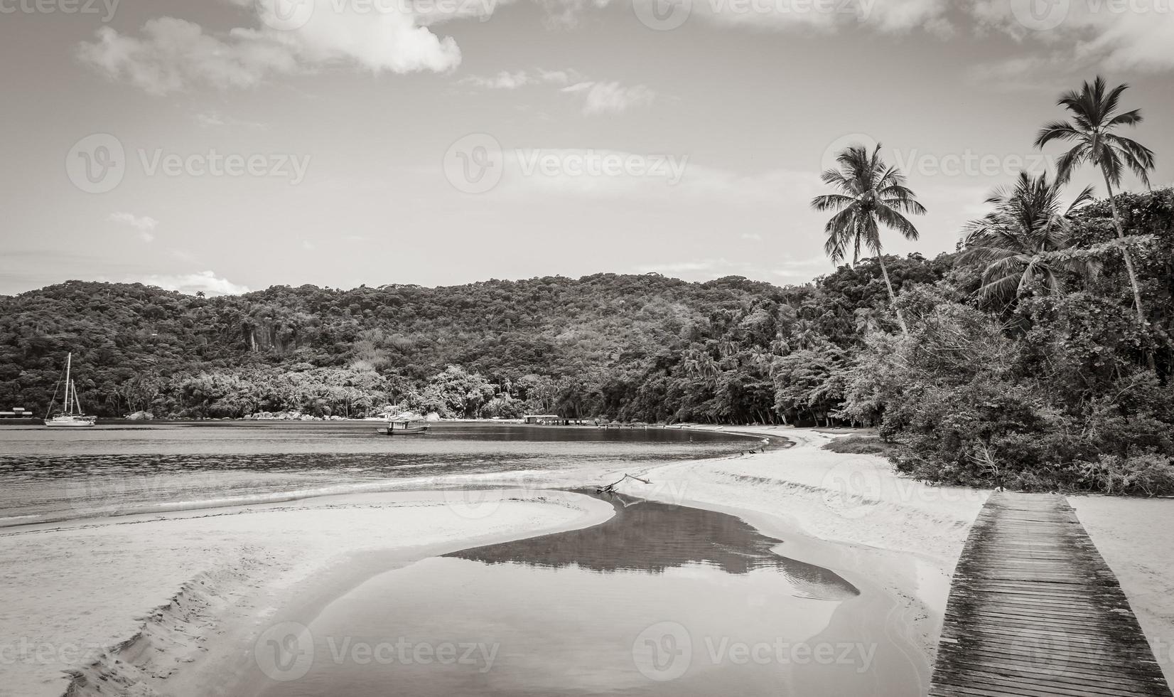 Mangrove and Pouso beach with bridge island Ilha Grande Brazil. photo