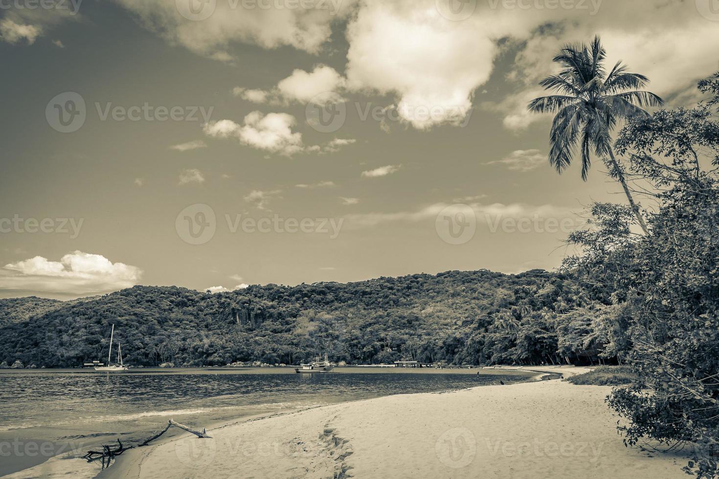 Mangrove and Pouso beach on tropical island Ilha Grande Brazil. photo