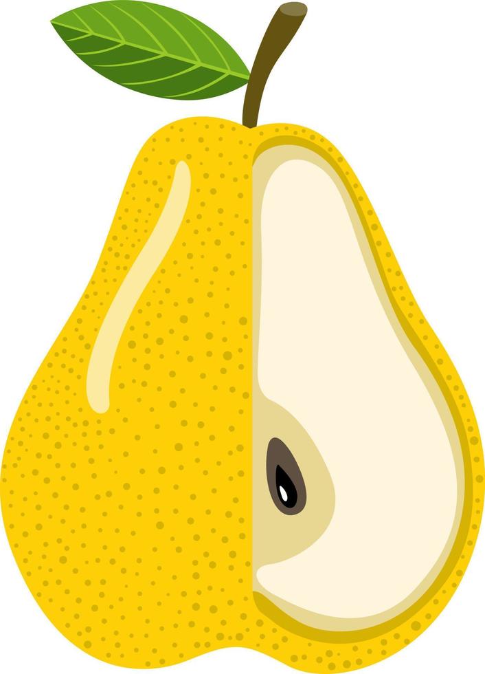 Fresh yellow pear isolated on white vector