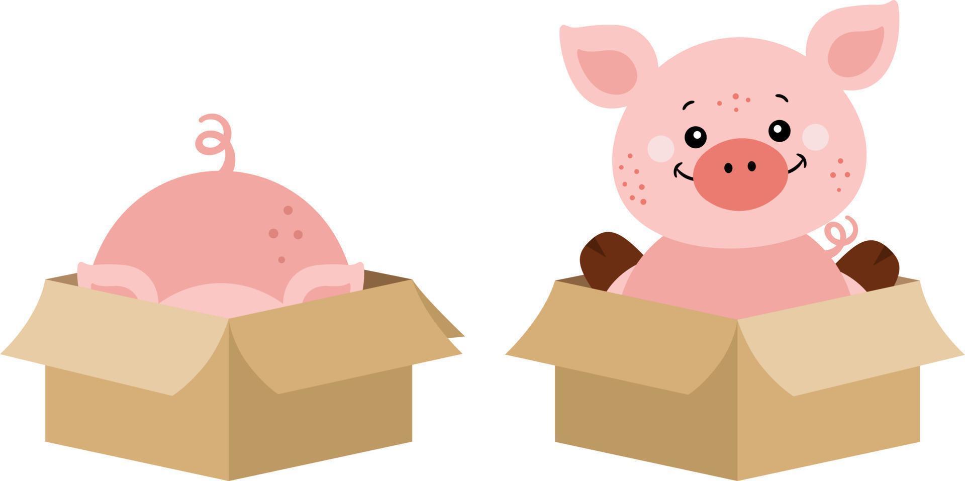 Cute pig in cardboard box vector